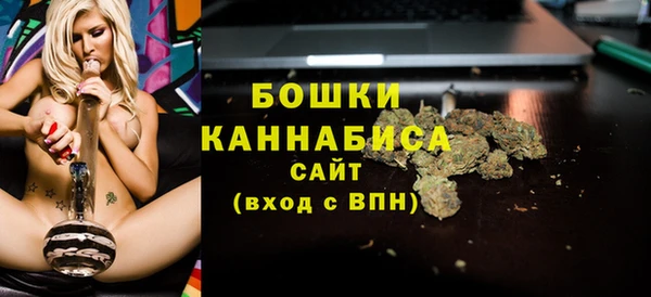 прущие грибы Баксан