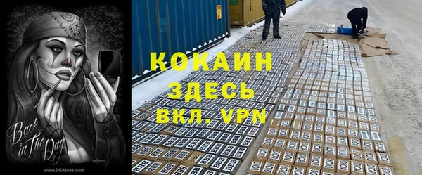 прущие грибы Баксан