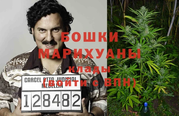 прущие грибы Баксан