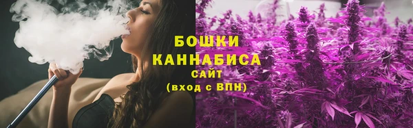 прущие грибы Баксан