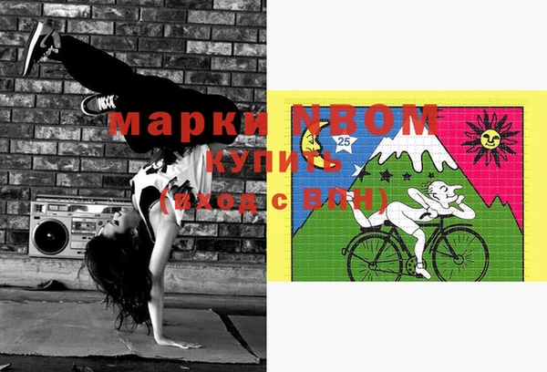 прущие грибы Баксан