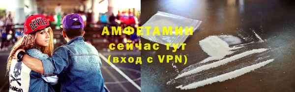 прущие грибы Баксан
