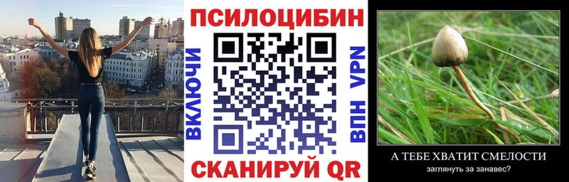 blacksprut   Верхотурье  Псилоцибиновые грибы мухоморы 